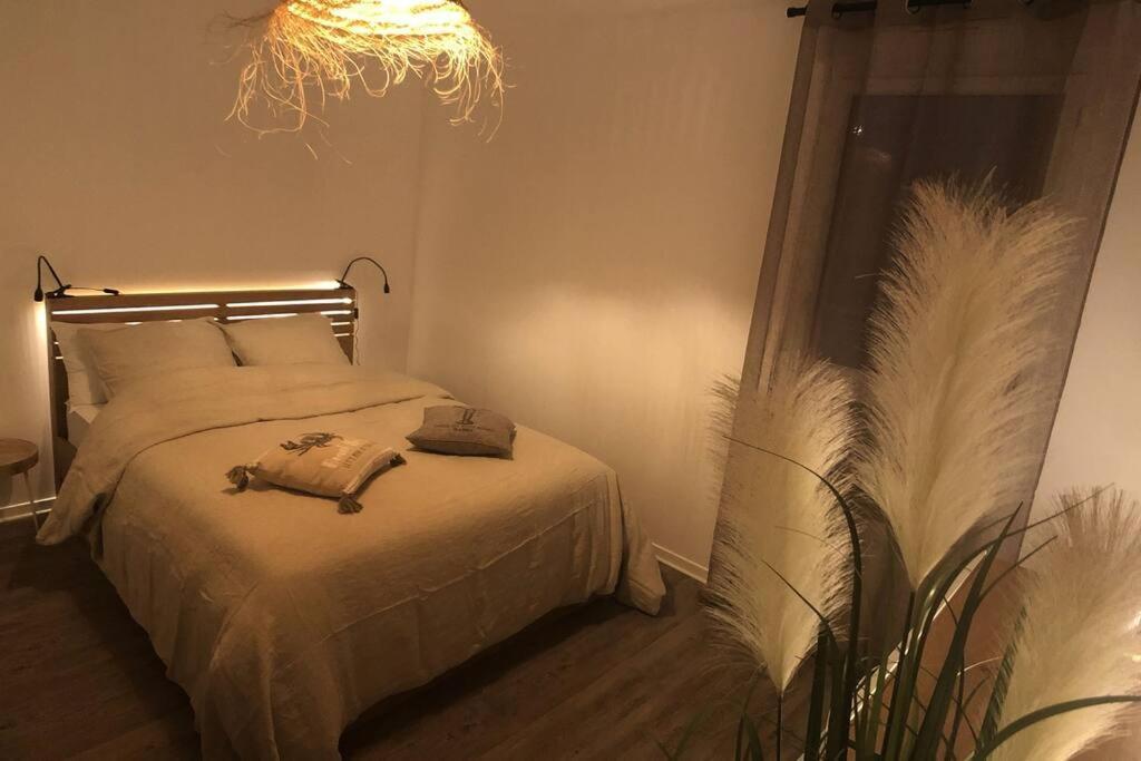 Appartement, Confort, Parking, Terrasse Dinan Dış mekan fotoğraf